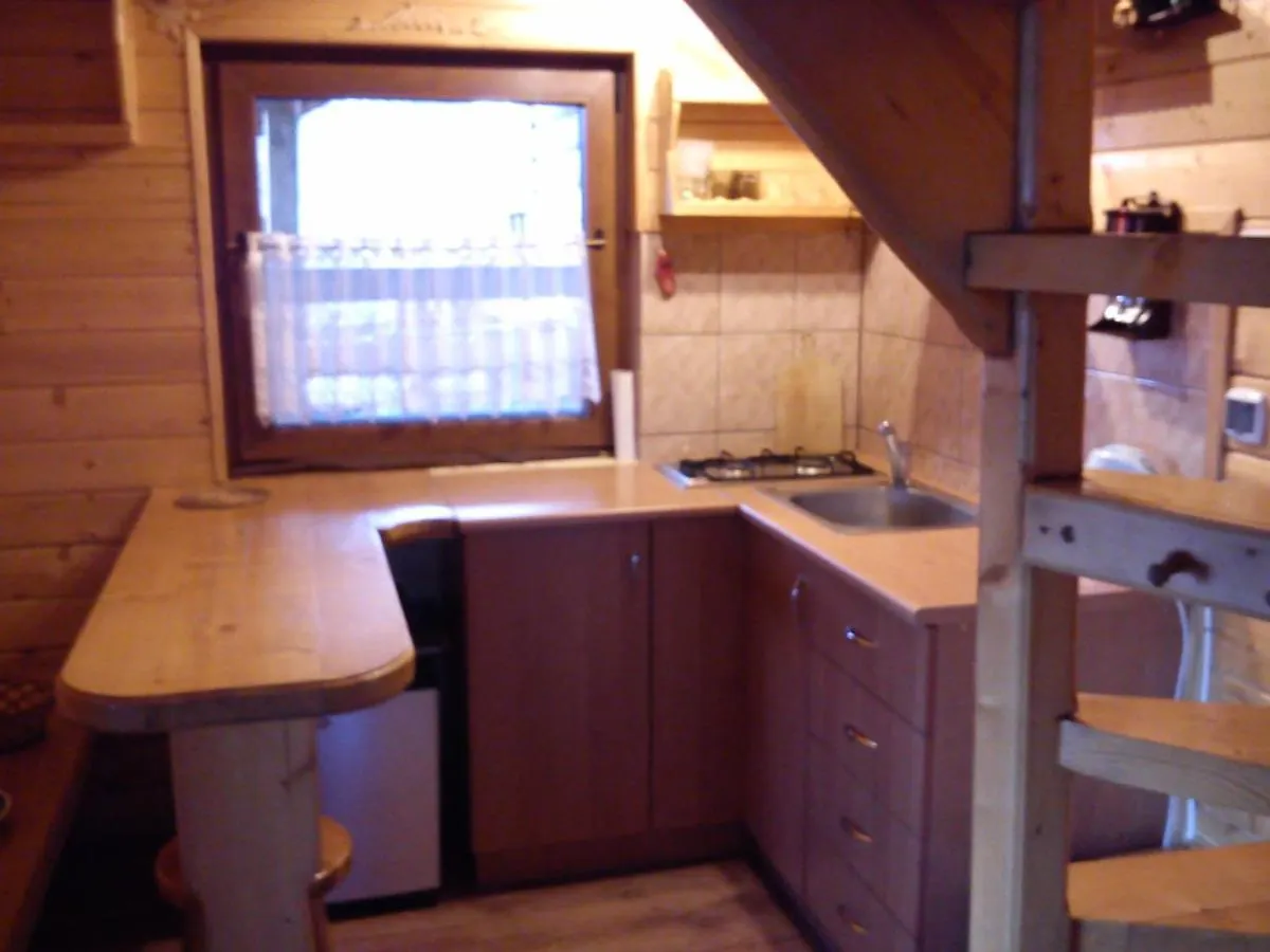 Maly Domek Pod Lasem Zakopane Chalet